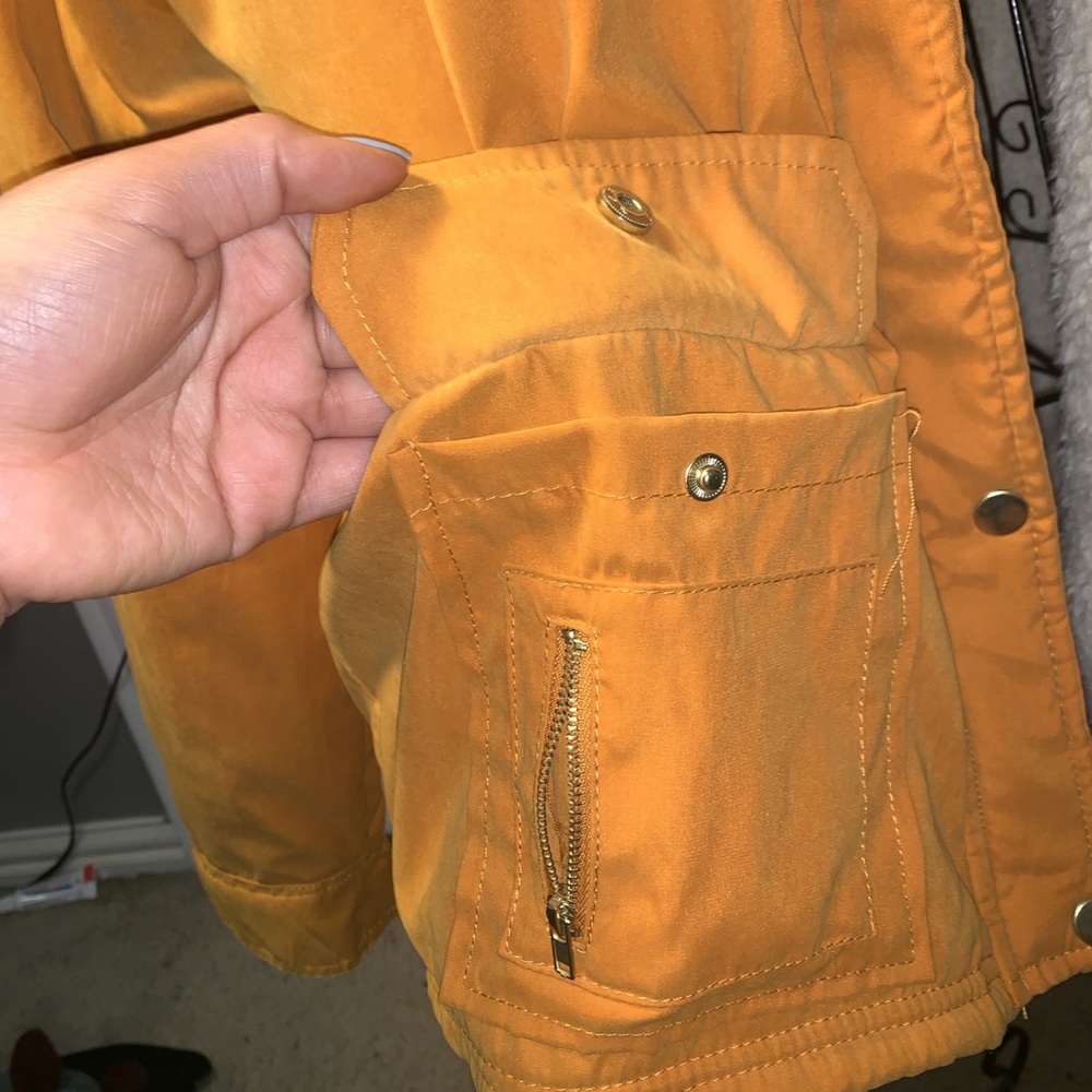 Yellow jacket - Picture 3 of 5